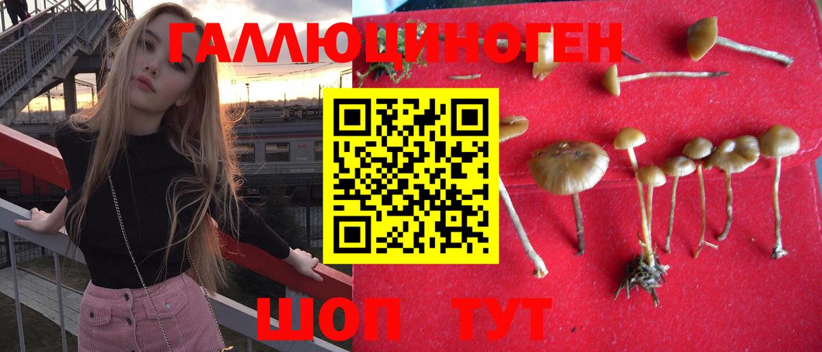 Псилоцибиновые грибы GOLDEN TEACHER Стрежевой