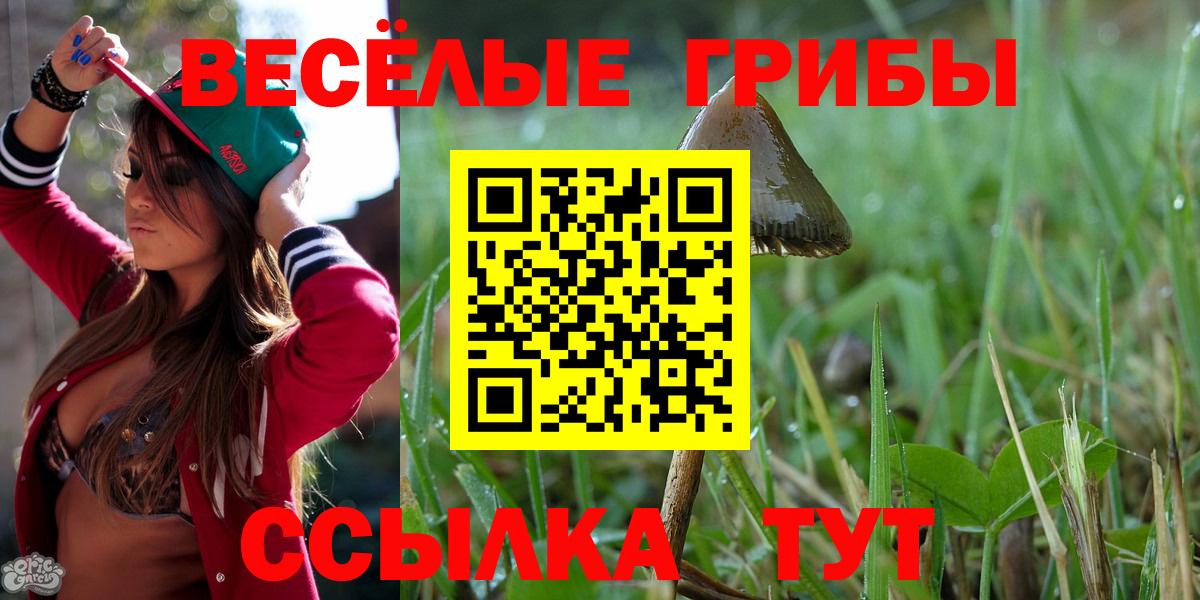 Псилоцибиновые грибы GOLDEN TEACHER  даркнет сайт  Стрежевой  Вход с VPN 